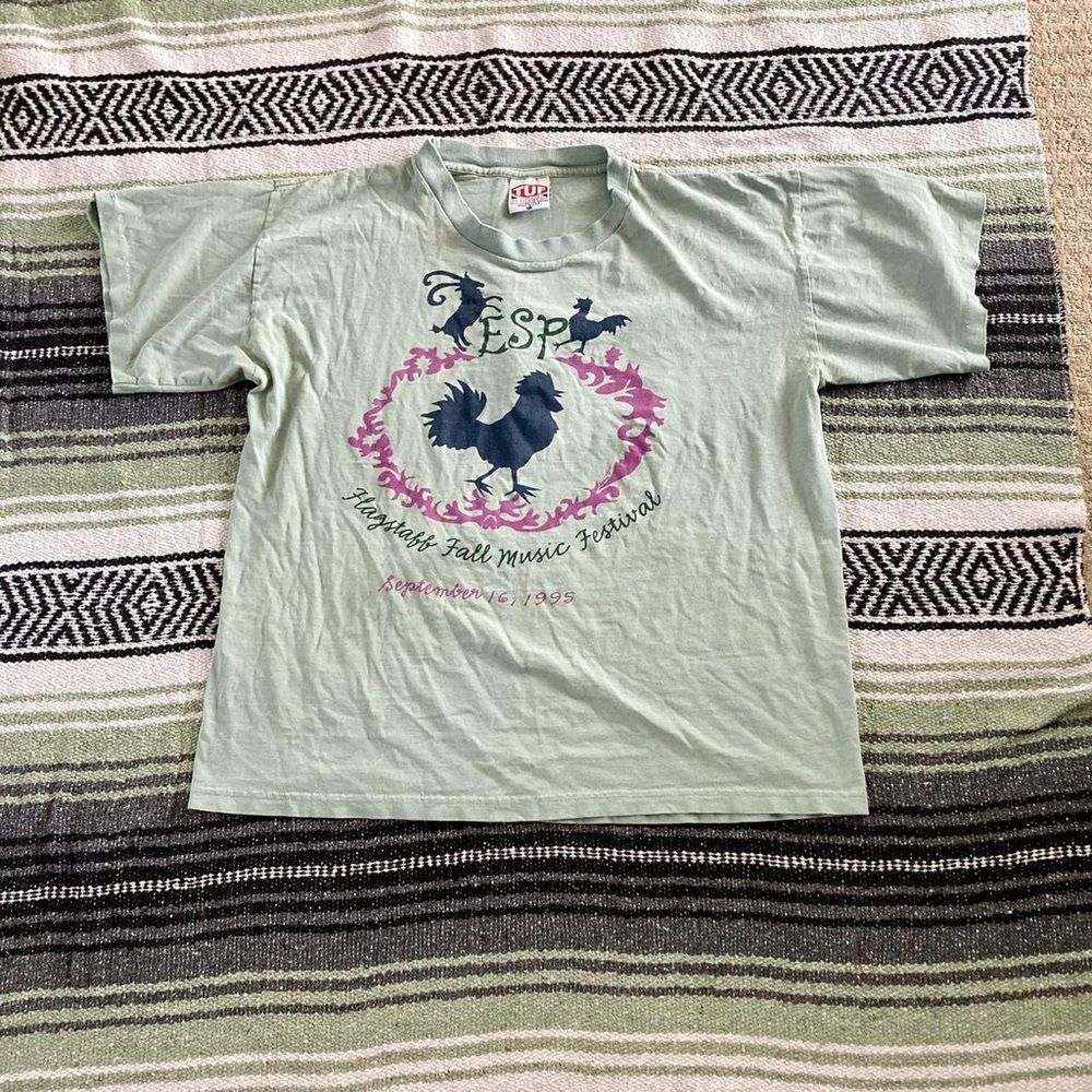 Vintage 1995 flagstaff AZ fall music festival single stitch t shirt